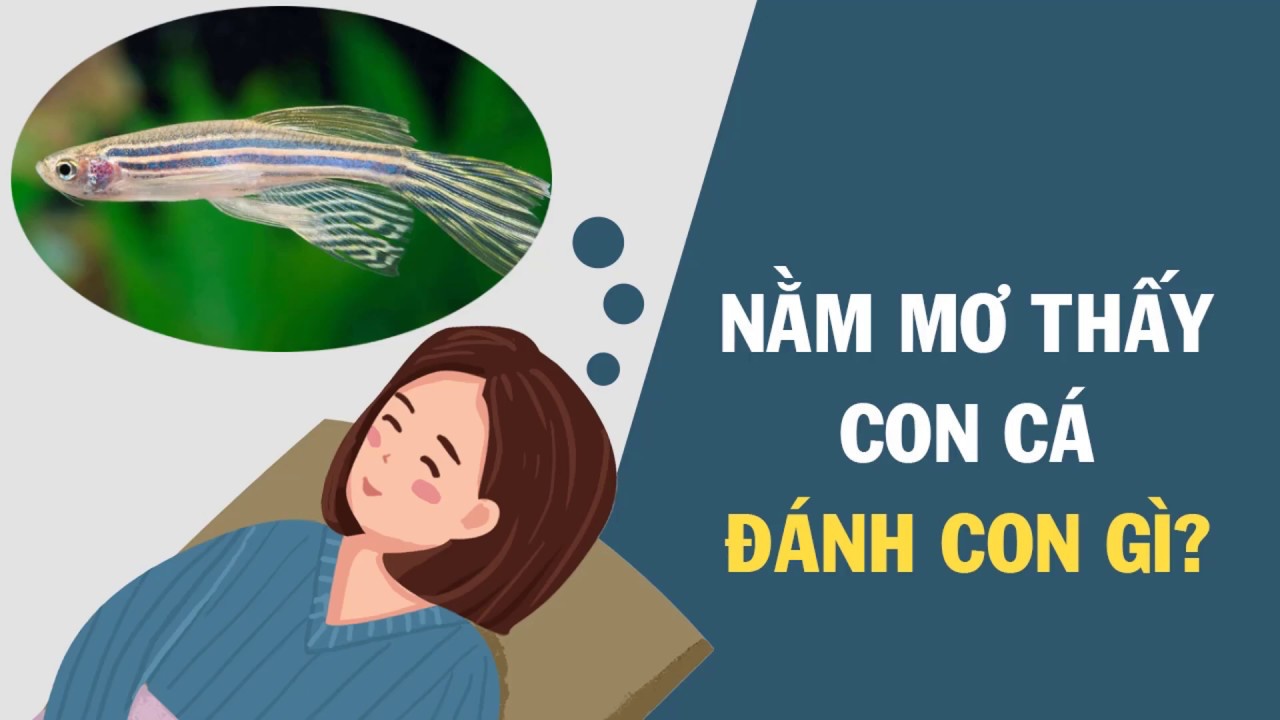 Nằm mơ thấy cá đánh số mấy?